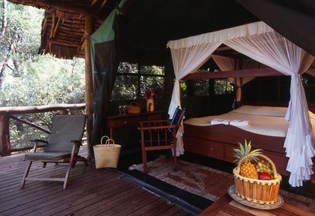 Samburu Intrepids Camp
