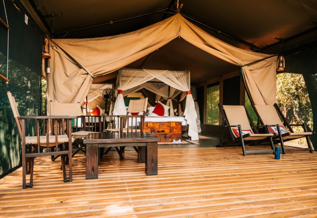 Mara Bush Camp