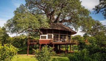 Tarangire Treetops
