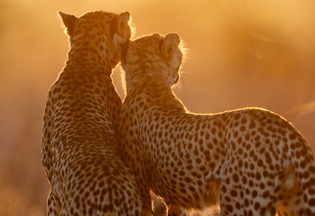 Frauen- Fotoreise Kenia