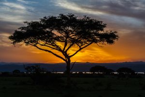 Sonnenuntergang (credit: Thorsten Hanewald)