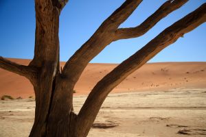 Sossusvlei