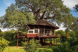 Tarangire Treetops