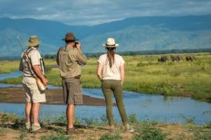 Kariba See