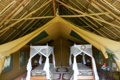 Flamingo Hill Camp6