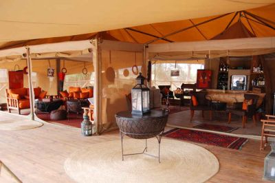 Elephant Bedroom Camp3