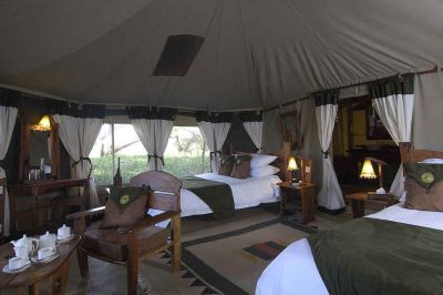 Elephant Bedroom Camp5