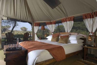 Elephant Bedroom Camp7