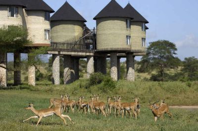 Saltlick Game Lodge1