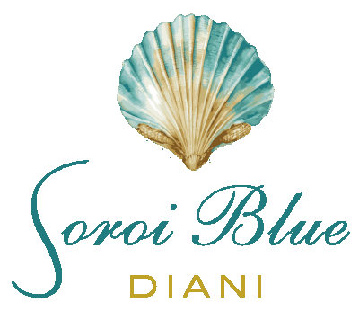 Soroi Blue Logo E1744028337871