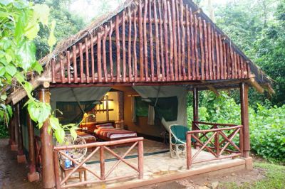Kibale Forest Camp02