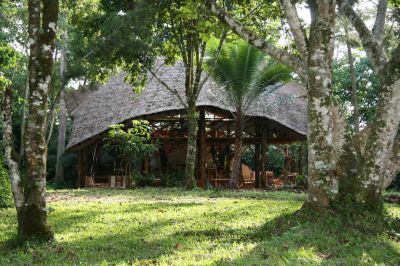 Kibale Forest Camp09