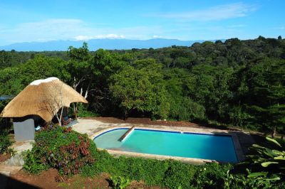 Turaco Treetops Lodge 10
