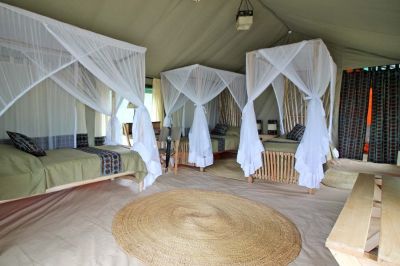 Tarangire View Camp4