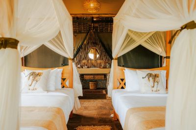 Cheetahtentedcamp3 Neu