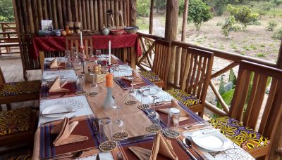 Bugoma Jungle Lodge10