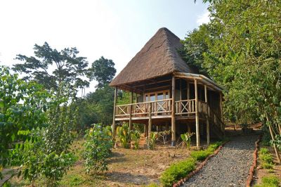 Bugoma Jungle Lodge2