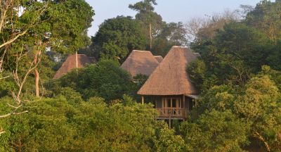 Bugoma Jungle Lodge9