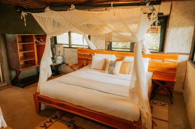 Leopardslairsoroi Neu1