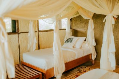 Leopardslairsoroi Neu2