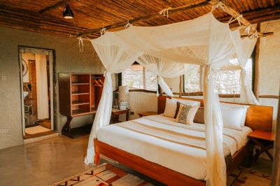 Leopardslairsoroi Neu3