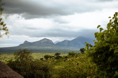 Leopardslairsoroi Neu6