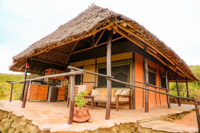 Leopardslairsoroi Neu8