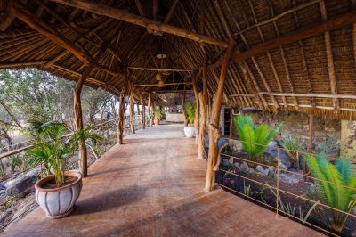 Lumo Lions Bluff Lodge20