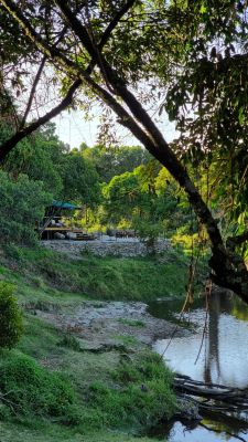 Lmc Photos Bennyrebel20