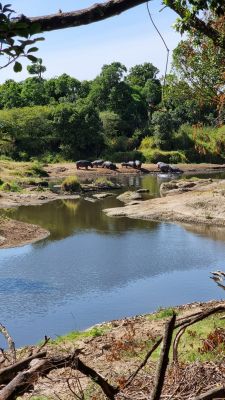 Lmc Photos Bennyrebel25