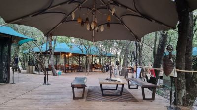 Luxury Migration Camp1