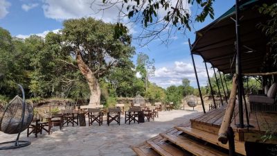 Luxury Migration Camp29