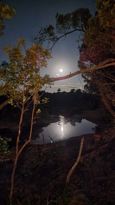 Luxury Migration Camp3