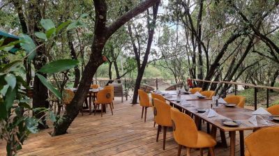 Luxury Migration Camp6