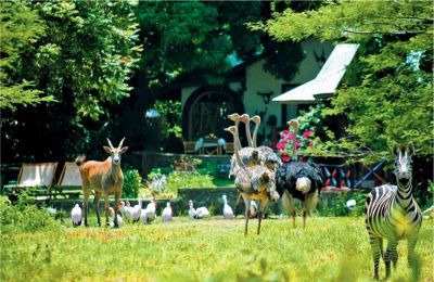 Mount Meru Game Lodge5