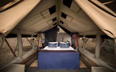 Zambezi Expeditions11