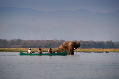 Zambezi Expeditions4