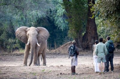 Zambezi Expeditions5