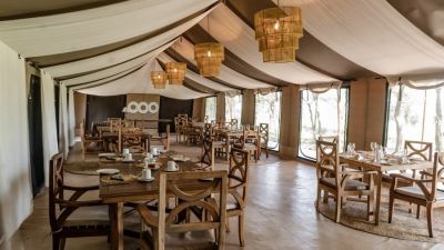 Thesinginggrasscamp8