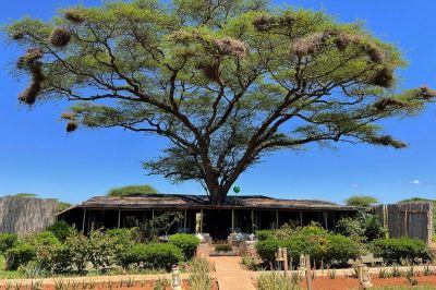 Tuliaamboselisafaricamp9