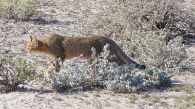 Namibiafamtripgalerie1