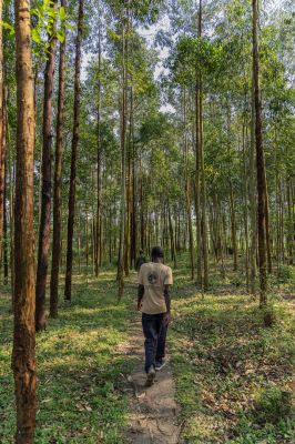 Pangolinrescuecenteruganda1