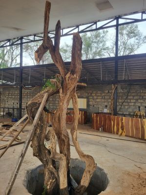 Baufortschrittsamburulodge3