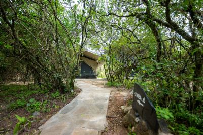 Olkinyei Mara Tentedcamp6