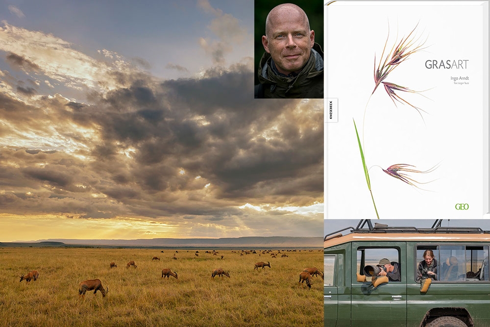 GrasArt und die Savanne Kenias