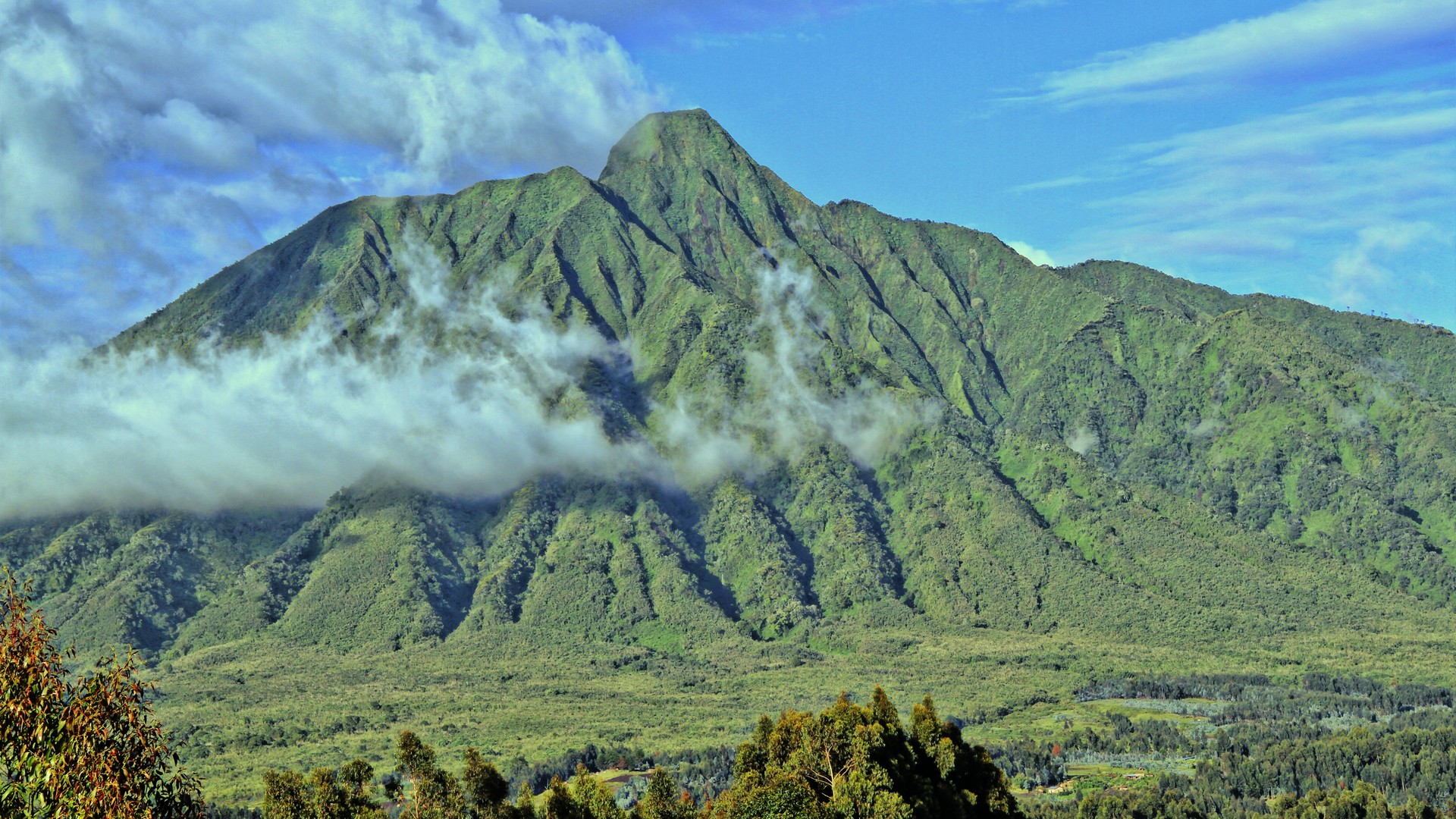 Vulkan Nationalpark (Bild: Christian Prenner)