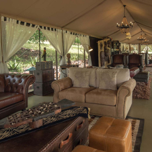 credit: wellworthcollection