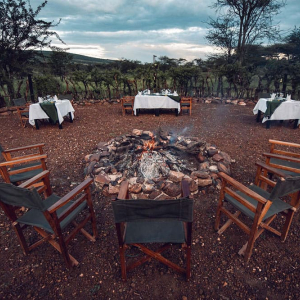 credit: wellworthcollection