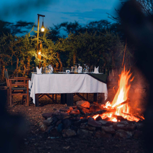 credit: wellworthcollection