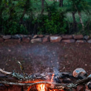 credit: wellworthcollection